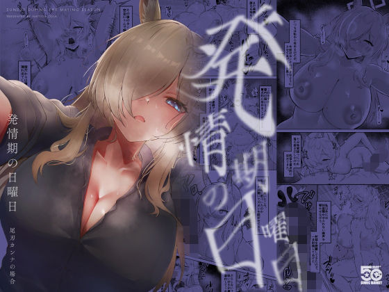D 812261pl