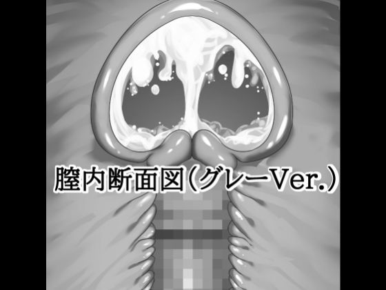 D 813604pl