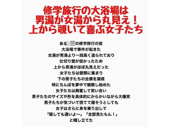 D 813951pl